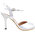 Moonstone Tango Shoes