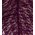 Magenta lace classic dress with open back, Pencil form dress, Cocktail dress, Latin dance dress, Unique handmade sexy dress, Tango clothes, Julietta a mano