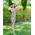 Floral tango dress, Cocktail dress, Unique handmade Dress, Tango Argentino, Hight quality tango clothes, open back dress, Latin dress, Pencil dress, Julietta a mano