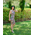 Floral tango dress, Cocktail dress, Unique handmade Dress, Tango Argentino, Hight quality tango clothes, open back dress, Latin dress, Pencil dress, Julietta a mano