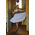 La Reina Tango Clothes Collection on Tangorium