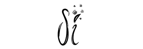 Si Dancewear