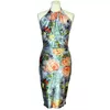 Argentine Tango Dress